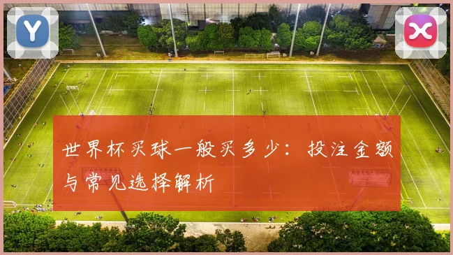 世界杯买球一般买多少：投注金额与常见选择解析