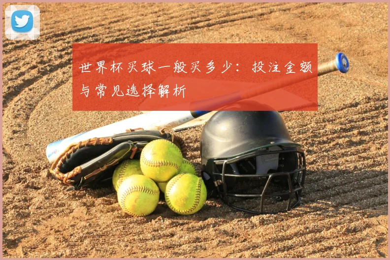 世界杯买球一般买多少:投注金额与常见选择解析